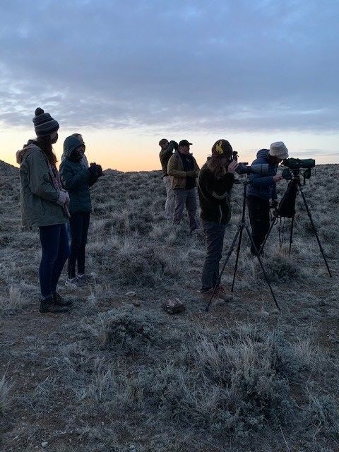 A group of young people stand in the Wyoming landscape taking photographs of sage grouse