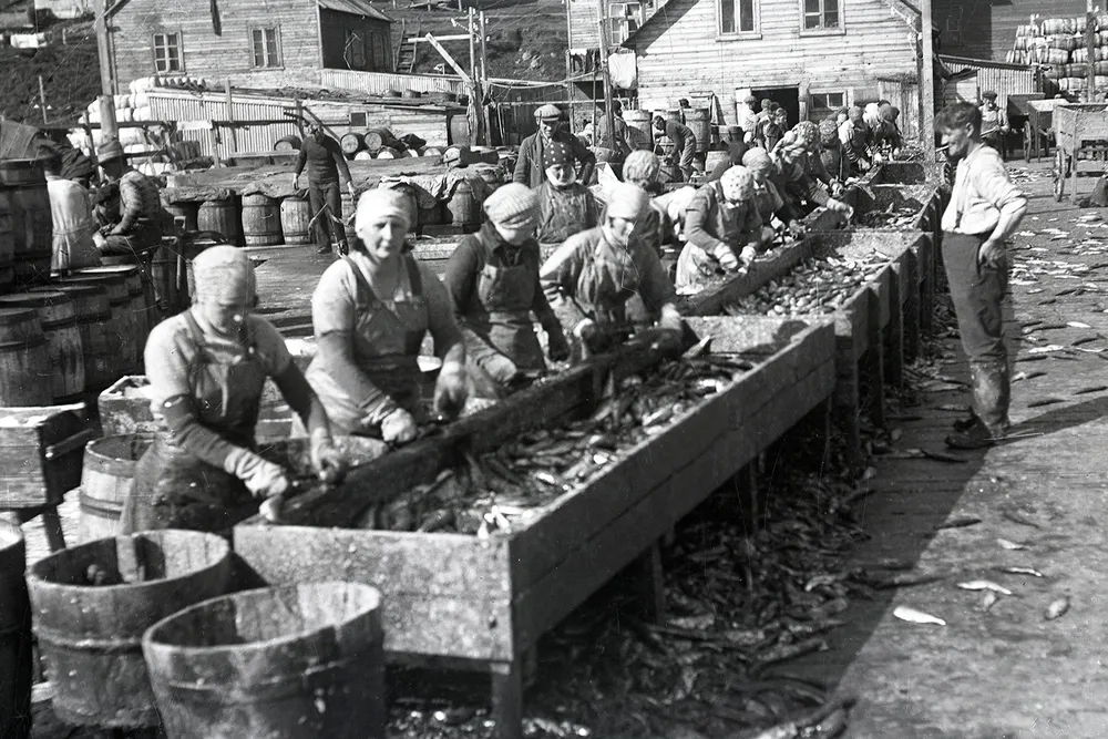 Herring girls working in an undated photo