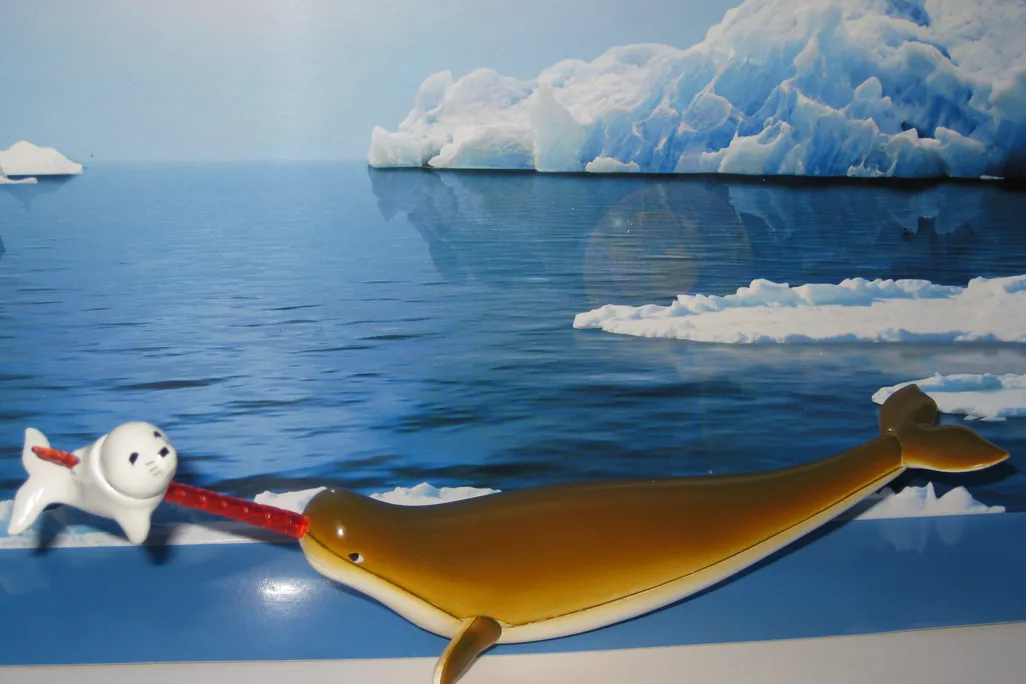 20110520104101avengingnarwhal.jpg