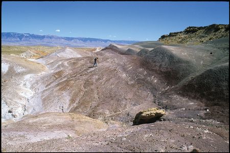 Prospecting for fossils in the Morrison Formation near Shell, Wyoming