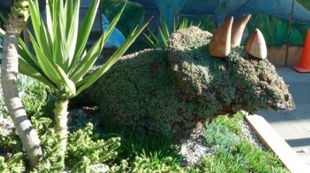 Trixie the Triceratops