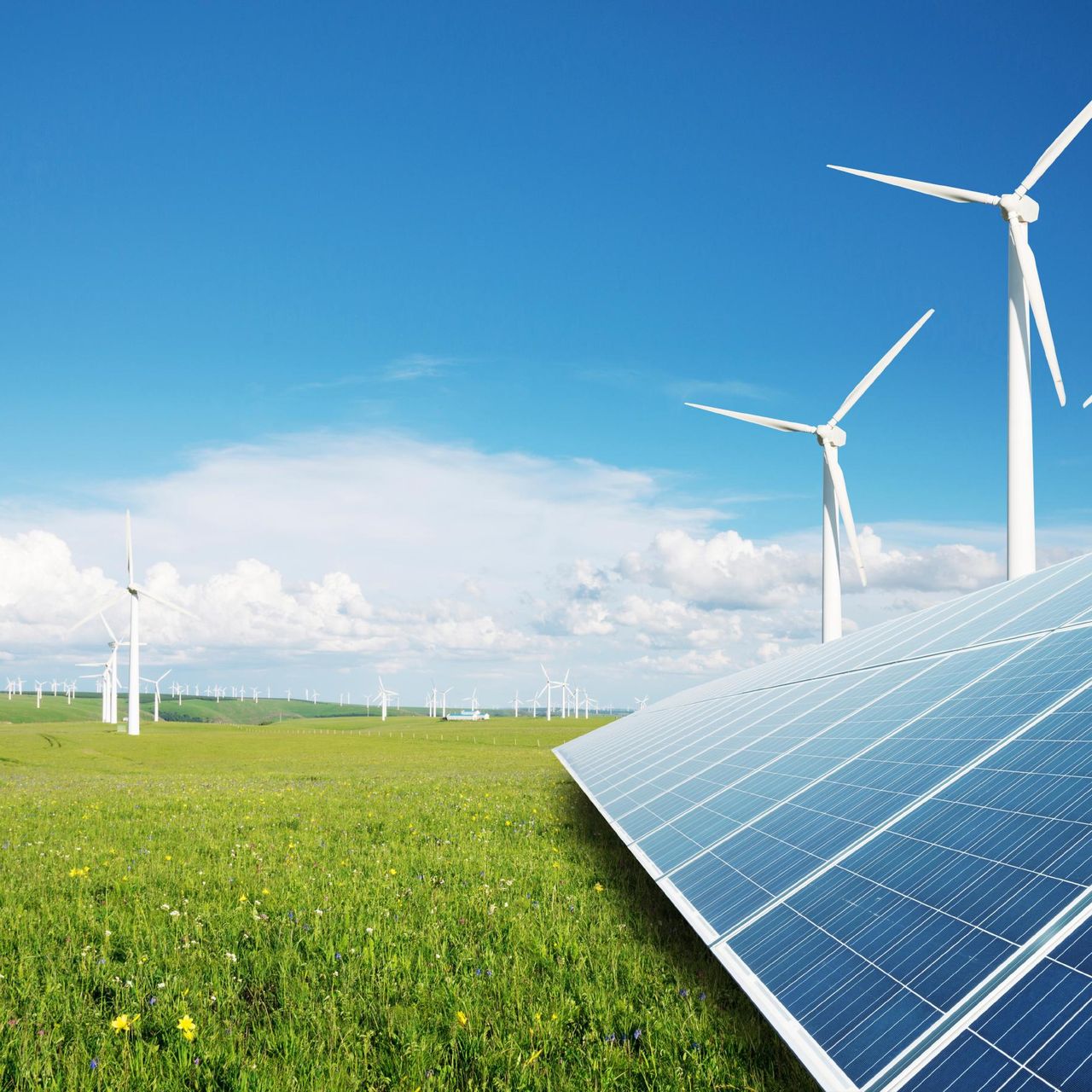 Renewable Resources Solar Panels