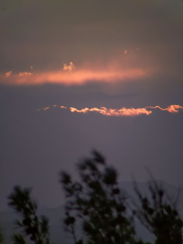 An autumn sunset over the pines thumbnail