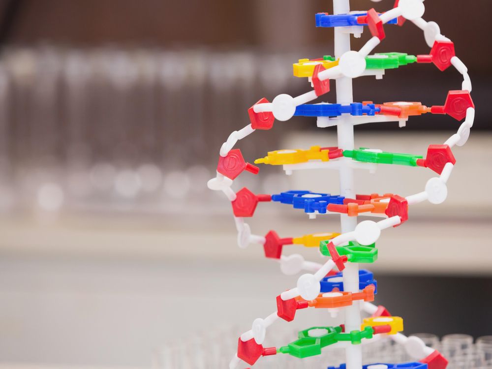 DNA double helix.jpg