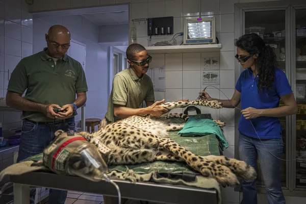 Sprinting Back thumbnail