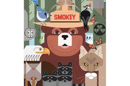 The character of Smokey Bear first appeared in 1944.