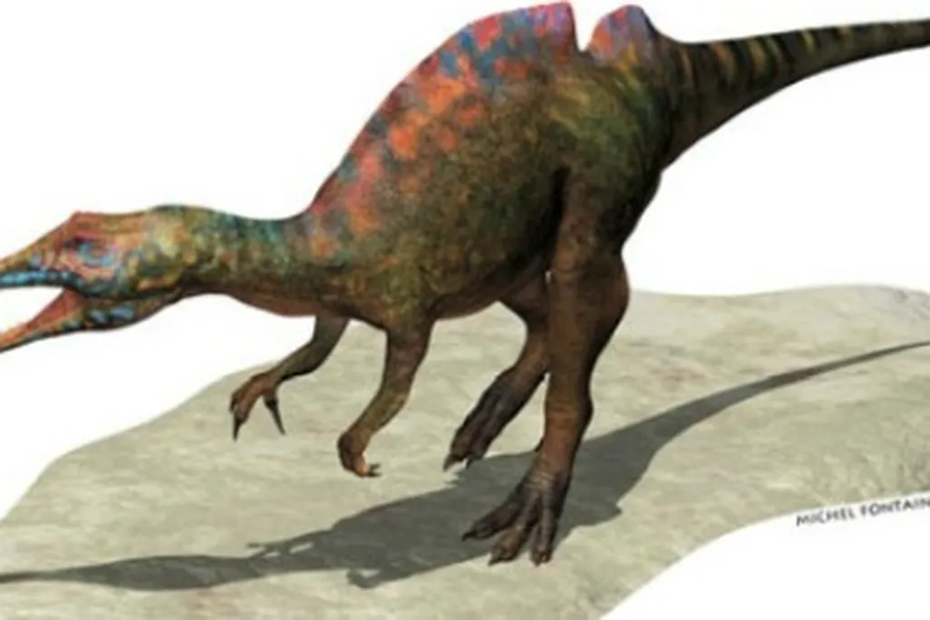 A restoration of Ichthyovenator by Michel Fontaine