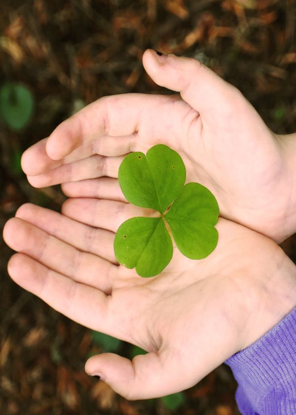 Childs Nature thumbnail