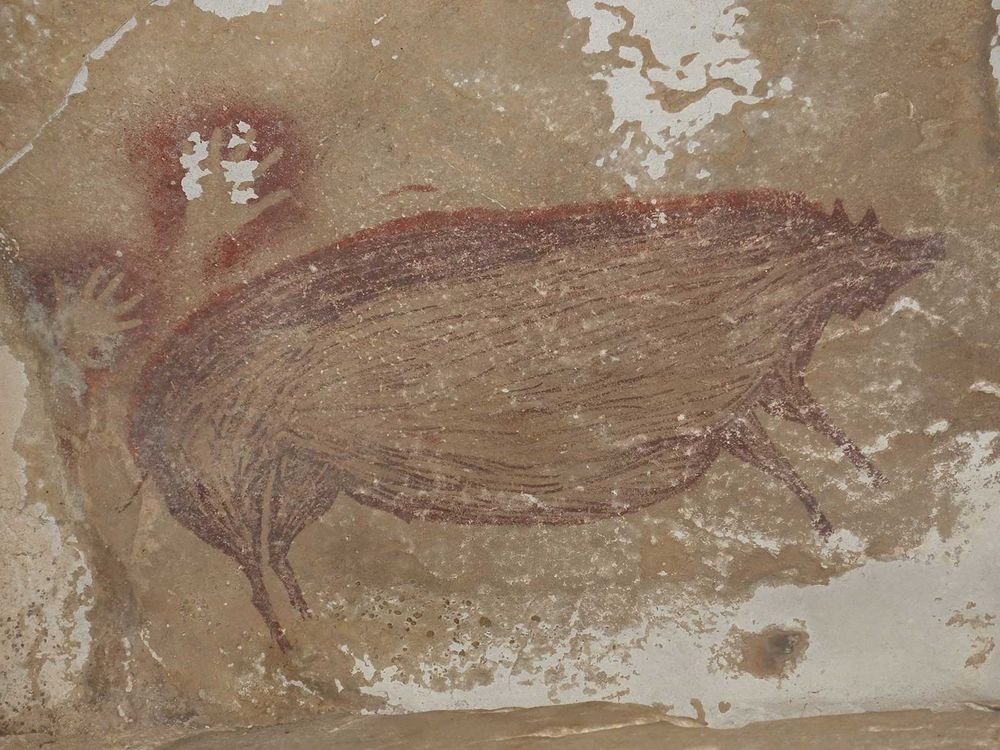 45,000-Year-Old Pig Painting in Indonesia May Be Oldest ...