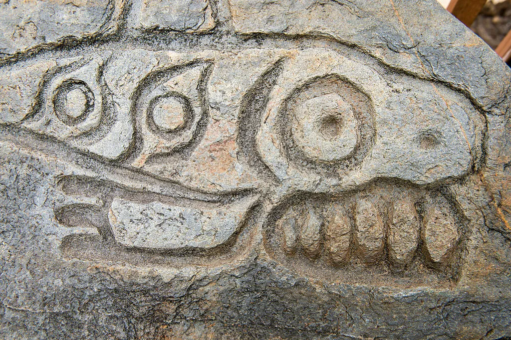 killer whale petroglyph