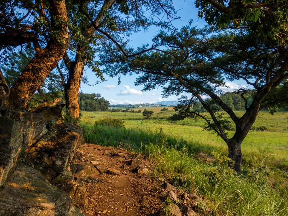 eSwatini