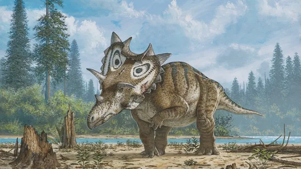 Two New Discoveries Add to a Horned Dino Revolution