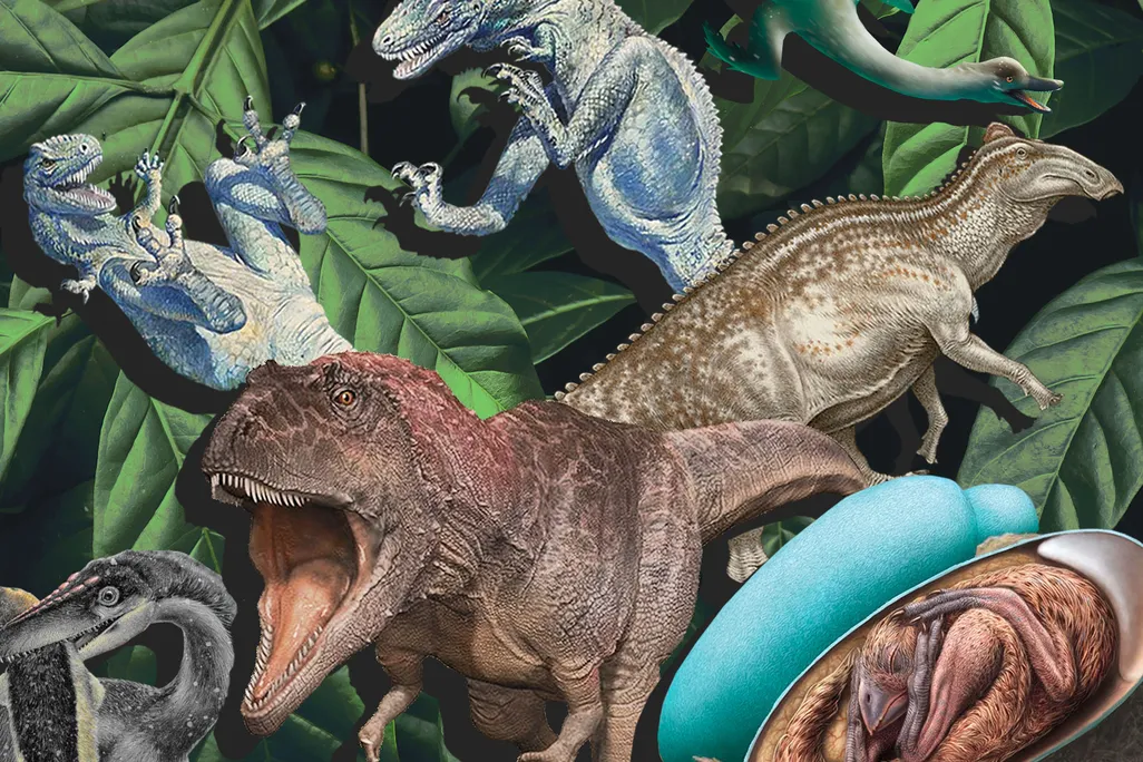 Dinosaur Collage