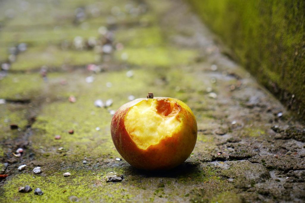 Half-Eaten Apple