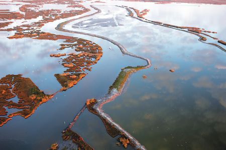 Louisiana is spending $42.5 million to rebuild the marshes in the Grand Liard Bayou. Without the project, the land was expected to disappear entirely by 2050.