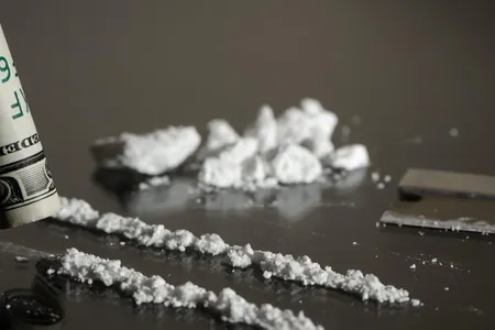 Lines of cocaine. 