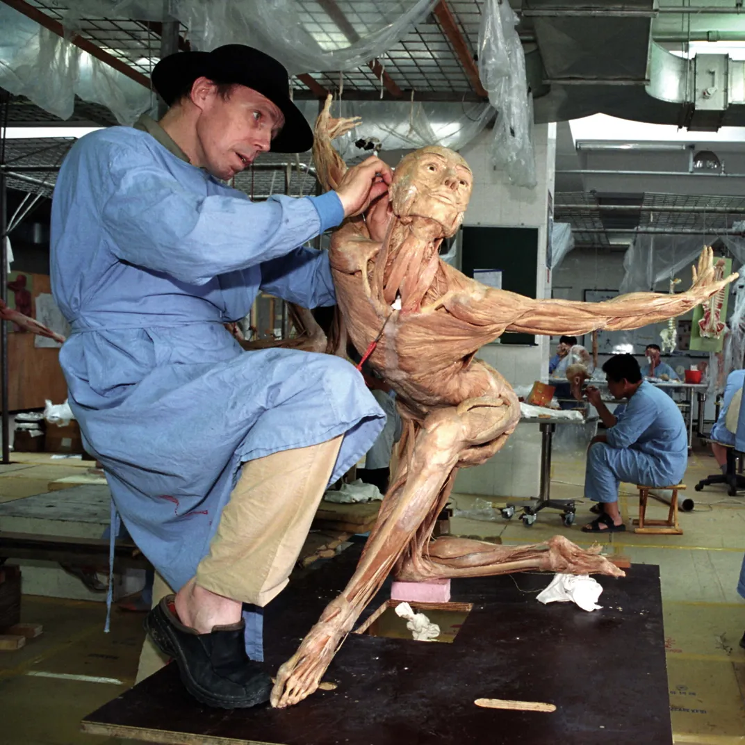 Von Hagens working on the plastinate “the kneeling lady"