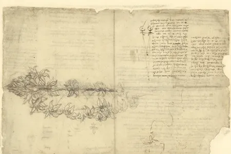 A section from Leonardo da Vinci's Codex Atlanticus titled "Floral composition, views on the usefulness of glasses"