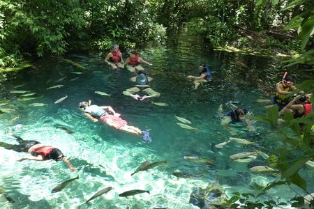Eco-tourists snorkeling with fish in a Brazilian river
