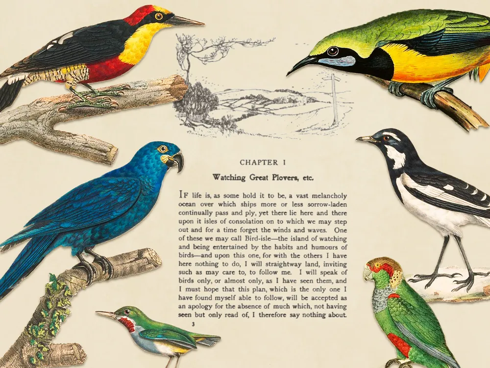 Illustration of birds overlaid on a page from a bird-watching book by Edmund Selous