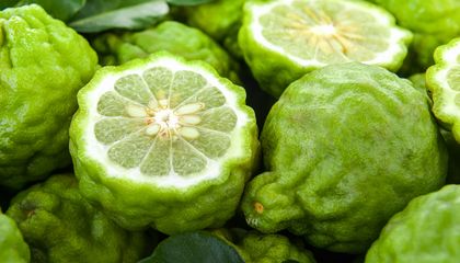 Earths Smells Are Disappearing Because of Climate Change, and Its a Vast Cultural Loss