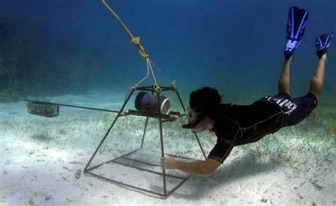 Diver setting up underwater camera