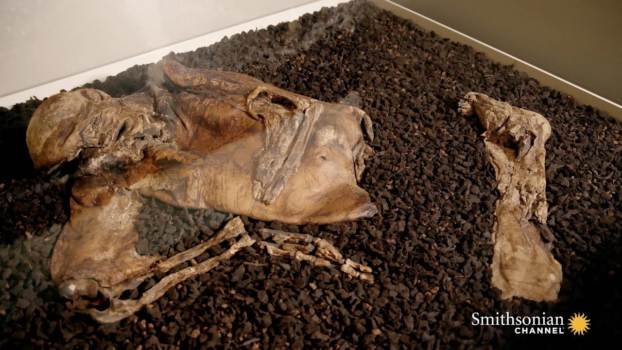 Preview thumbnail for The Stunningly Clear Features on the Lindow Man Mummy