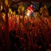 The English Farmers Who Harvest Rhubarb by Candlelight icon