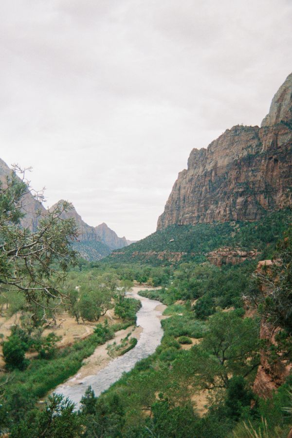 Zion river valley on film thumbnail