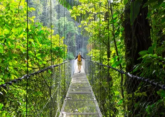 Costa Rica Treetops and Trails: An Active Journey description