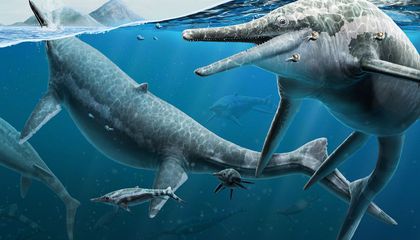 Paleontologists May Have Solved the Mystery Behind a Prehistoric Reptile Graveyard