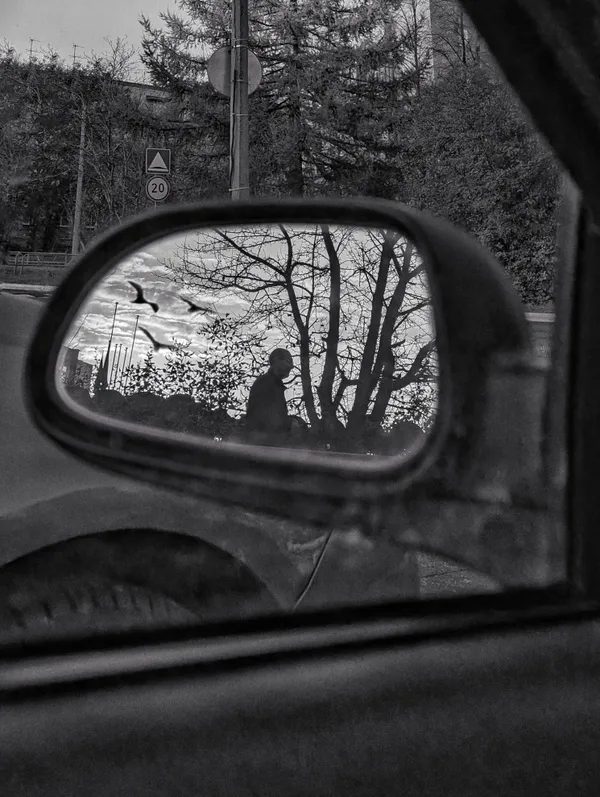 Birds of Paradise thumbnail