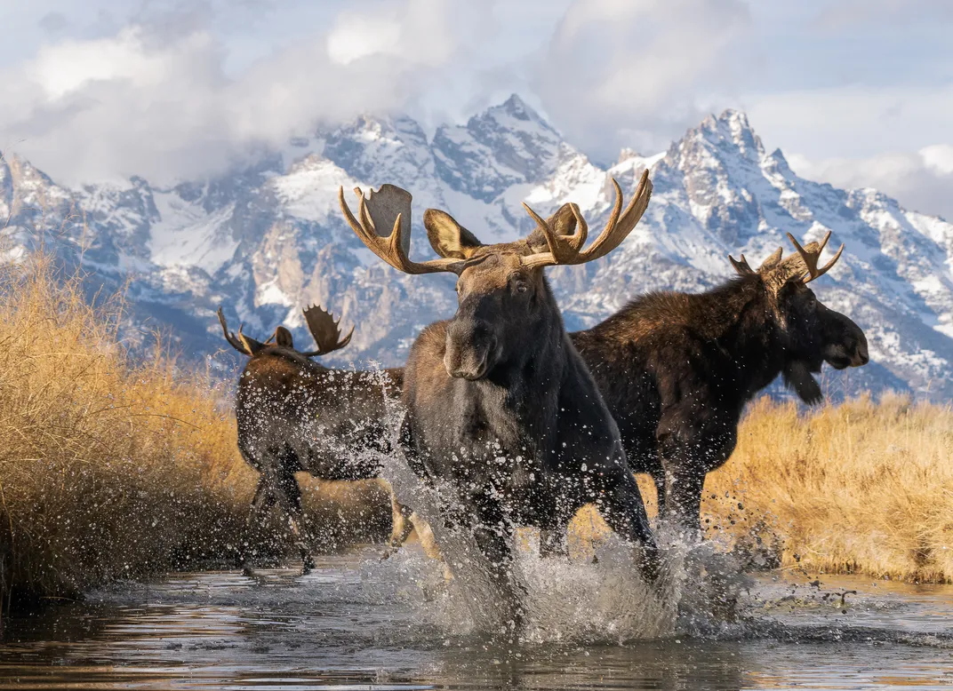 View This Year's 60 Stunning Finalists From the Smithsonian Magazine Photo Contest