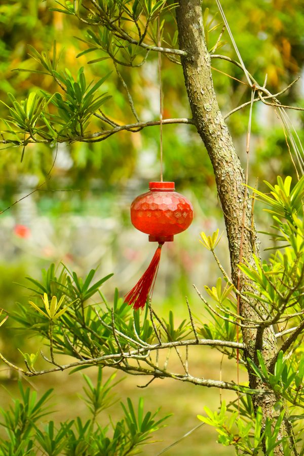 Lingering Glow thumbnail