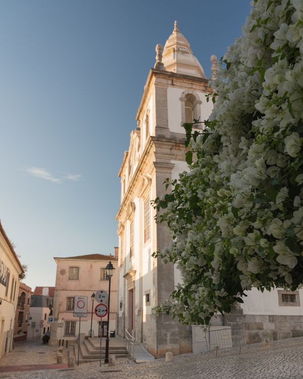 Cascais in Bloom thumbnail