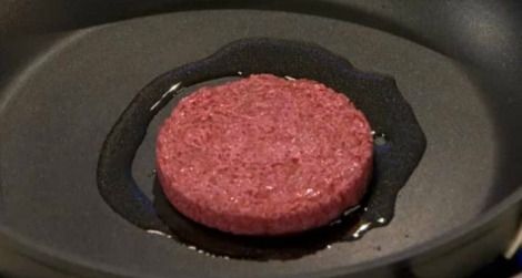 Are test-tube burgers transformative science?