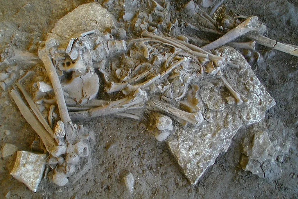 Neolithic Plague Victim