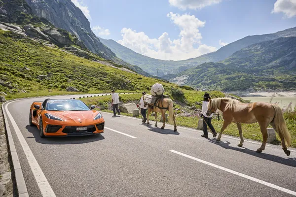 Horse on a mountainroad in Switzerland thumbnail