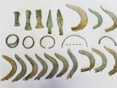 Monty, the dog that found the Bronze Age relics, unearthed 13 sickles, two spear points, three axes and several bracelets.
