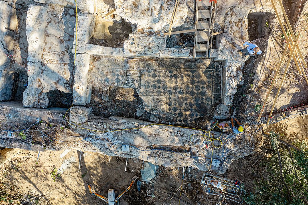 This Marine-Life Mosaic Discovered Near the Colosseum Offers a Surprising Clue—Its Building May Have Housed Firefighters in Ancient Rome