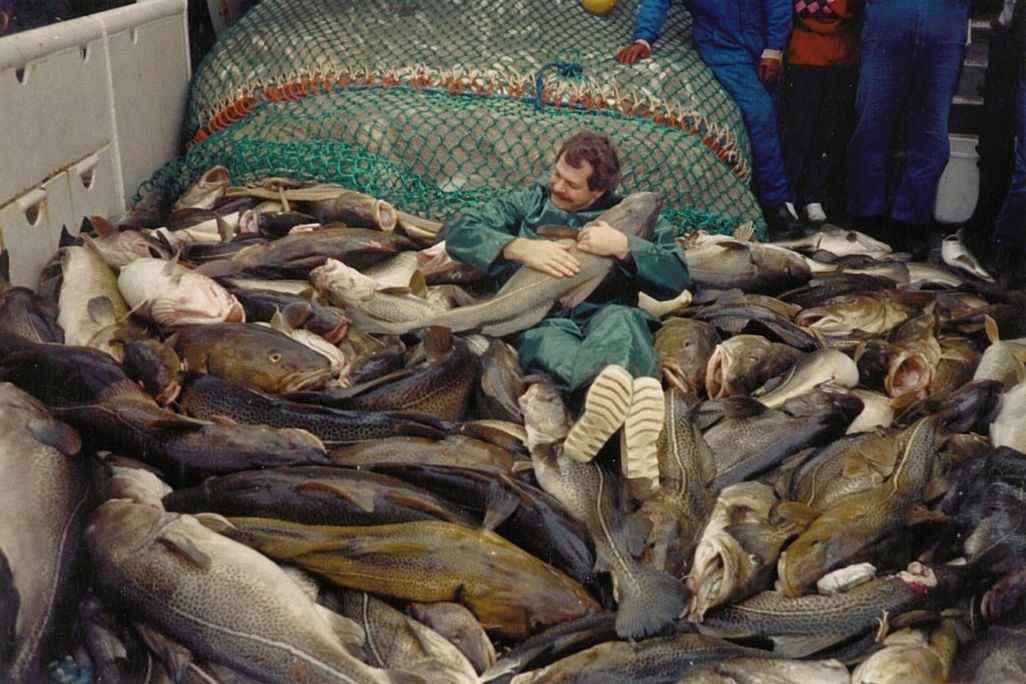 a man sits in a pile of enormous cod, hugging one in his arms like a medium sized dog