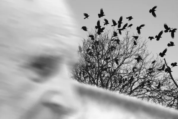 Portrait of an old man with crows flying away thumbnail