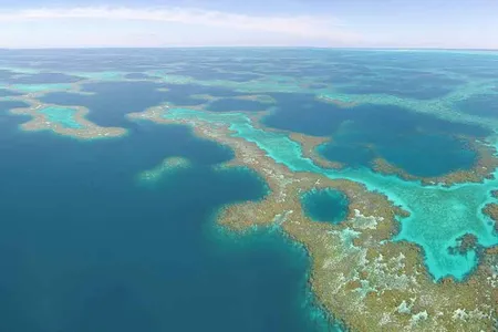 Papahānaumokuākea fosters reefs inhabited solely by species found nowhere else in the world, the only known marine area where all species are endemic. 