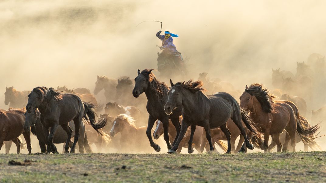 The Mongol herdsman and the running horses | Smithsonian Photo Contest ...