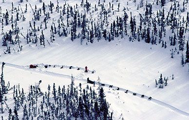 Writers covering the Iditarod race have the best seat in the house: a heated airplane cockpit.