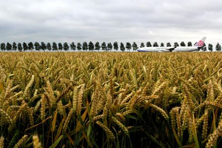 Dominik Hanke's "Lost in the Field" won Grand Prize in our Fourth Annual Photo Contest.