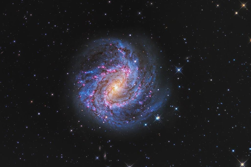 Hydra’s Pinwheel by Peter Ward - Astronomy Photographer of the Year 2022 Galaxies