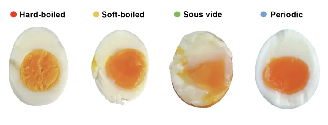 four different types of eggs; hard boiled, soft boiled, sous vide and periodic, with the white and yolk cooked to different degrees