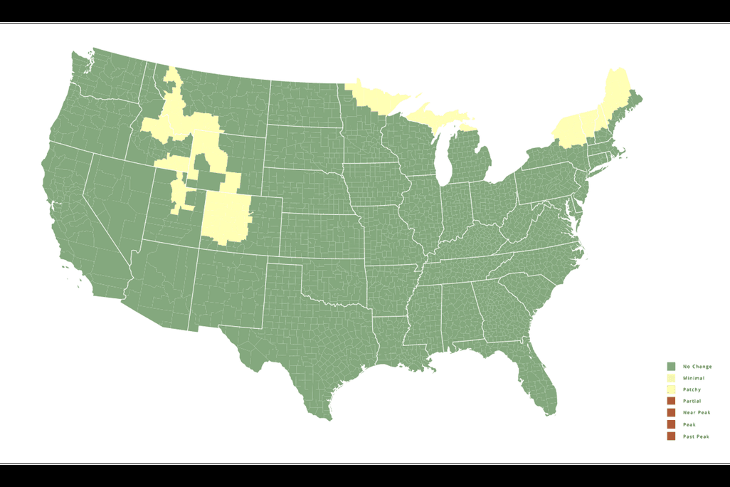 Fall foliage map