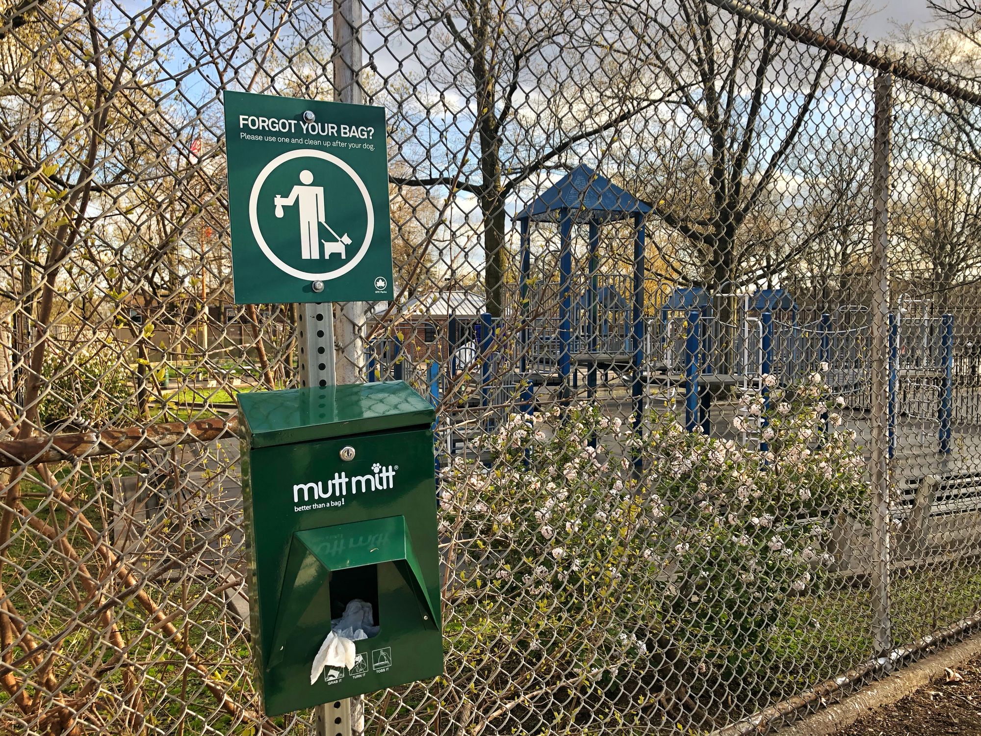 Shoes Carry Poop Bacteria Into NYC Buildings, Study Finds
